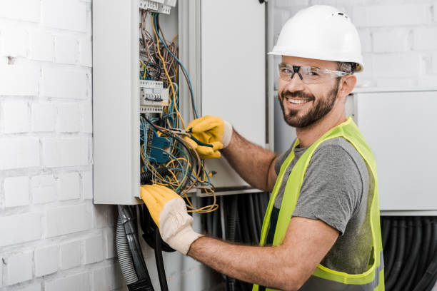 Best Local Electrician Companies  in Okawvle, IL